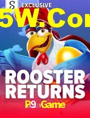 Bonus Features P9 Game